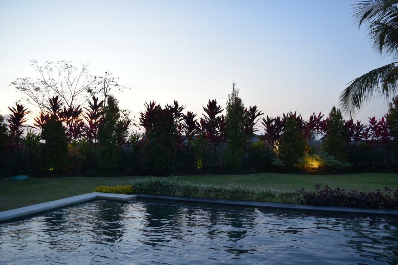 Villa Putih Lovina Екстериор снимка
